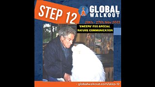 WE FIGHT GLOBALISM- AND THE THINGS THREATENING OUR CHILDREN-STEP 12 GLOBAL WALKOUT