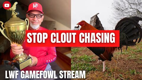 GAMEFOWL STREAM - BREEDING 101 / Stop Clout Chasing