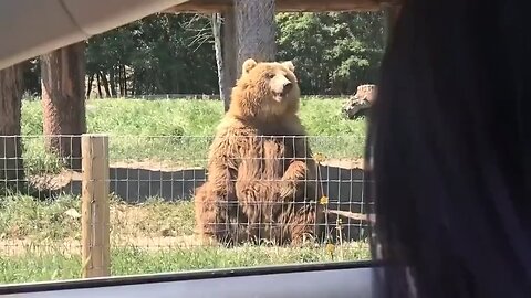 GOOD CATCH PAPA BEAR 🐻