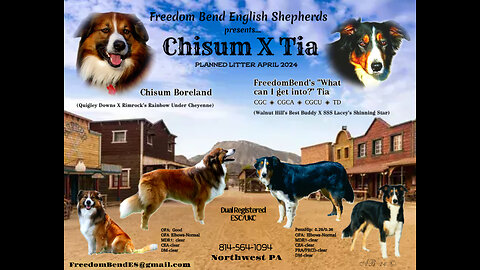 Chisum X Tia "The Pioneer Days Litter" 2024