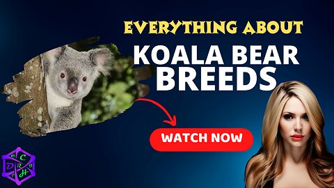 Koala Breeds: Outback Wonders