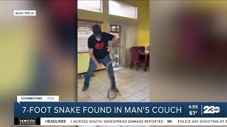 Check This Out: Chula Vista homeowner shocked to find giant 7-foot snake