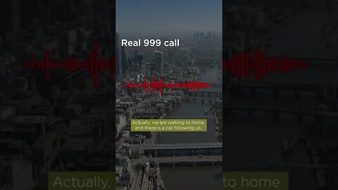 "A Cat Is Following You?" Real 999 Call From Someone Being Followed By A Cat