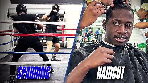 Haircuts and Sparring Boxing