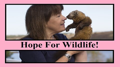 Hope For Wildlife: Animal Heal & Education With Hope Swinimer (#176)