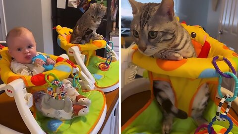 Adorable Baby & Cat Buddy Share Mealtime In Their Feeding Chairs