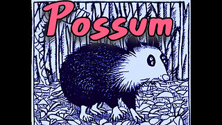 SOBAN - Possum