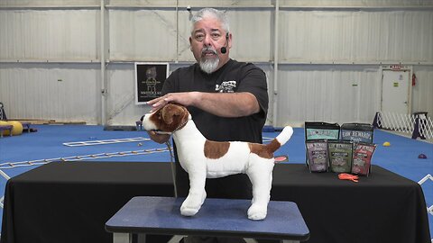 Hand Stacking Show Dogs with Eric Salas #dog #dogtraning #viral