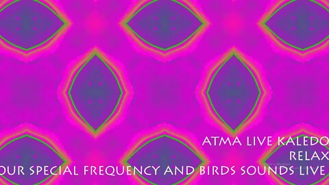 ATMA LIVE KALEDO - RELAX WITH BIRD SOUND AND ESPECIAL FREQUENCY LIVE FROM BRAZIL