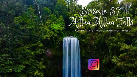 Assistance Animals @ Millaa Millaa Falls , North Queensland Australia