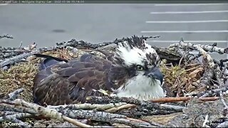 Congratulations Iris on the arrival of egg #2 5-6-2022