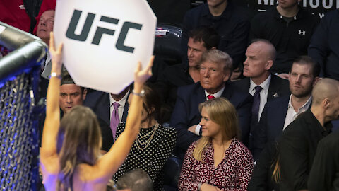 "LET'S GO BRANDON" chants break out at UFC 268 in blue state hellhole NY 😂😂😂