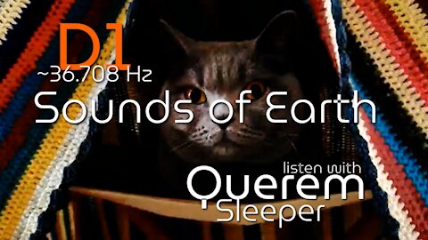 D1 ~36.708Hz Sounds of Earth | with Querem Sleeper