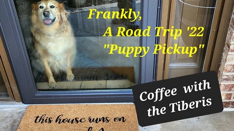 Frankly, A Road Trip - Puppy Pickup - "Coffe with the Tiberis"