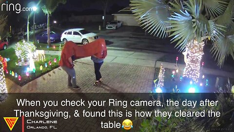 How to Clear a Table After Thanksgiving Caught on Ring Camera | Doorbell Camera Video