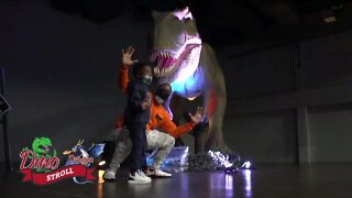 Dino and Dragon Stroll | Morning Blend