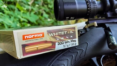 Norma Whitetail 300 Win Mag | 100 Yard Group Test