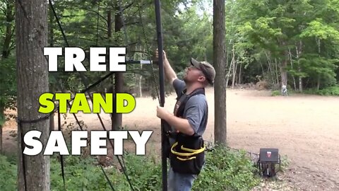 Step-by-Step Guide to Tree Stand Safety