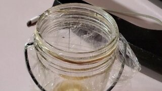 No more Fruit Flies with this proven method