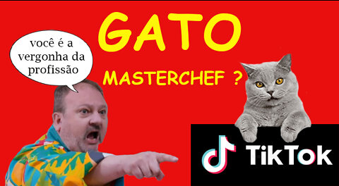 [COMPILED]-The-Cat-Cook-of-Tiktok