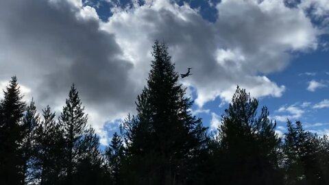 4 c17s or larger flying over North Idaho.
