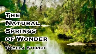 The Natural Springs of Wonder | Pamela Storch | Relaxing Original Music & Beautiful Natural Springs