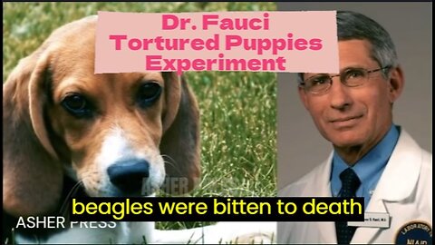 Dr Fauci Approved Grant for Experiment in Which Baby Beagles Were Bitten To Death By Flies – RFK Jr