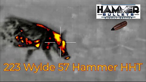 223 Wylde 57 Hammer Hunter Tipped Piglet Popping