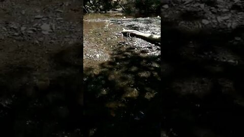 ASMR | Nature Sounds | Water