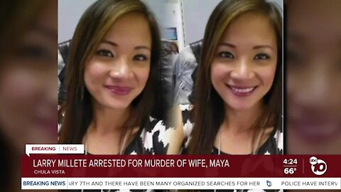 Investigator sheds light on Maya Millete case