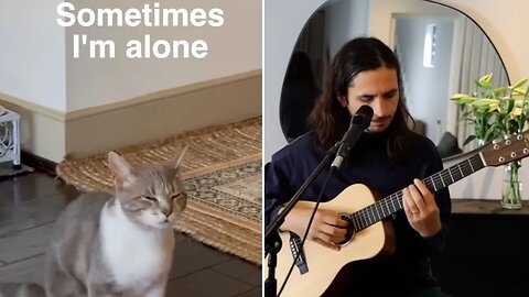 Best Lonely Cat Songs - Sometimes I'm Alone