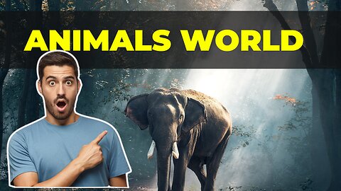 Animals World Wildlife