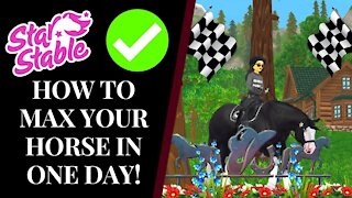 HOW TO *LEGIT* MAX YOUR HORSE IN ONE DAY! 🤩🏇 Star Stable Quinn Ponylord