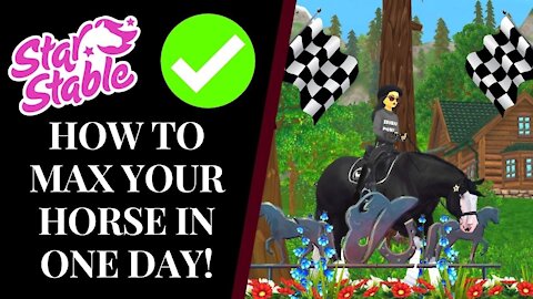 HOW TO *LEGIT* MAX YOUR HORSE IN ONE DAY! 🤩🏇 Star Stable Quinn Ponylord