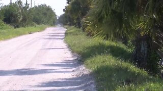 'Severely decomposed' human remains found near dirt road in St. Lucie County