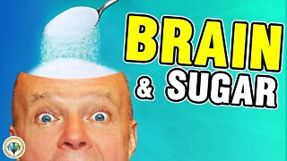 Keto Diet Epilepsy (Brain And Sugar)