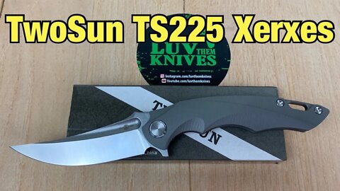 TwoSun TS225 Xerxes / includes disassembly/ Jelly Jerry design It’s got that Persian flair !!