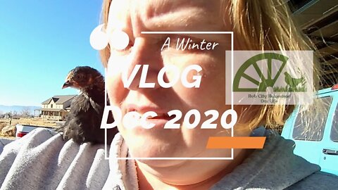Winter Vlog Dec 2020 ~~ Pumpkin Pie Crust and random chicken chores.