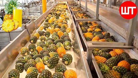 How Pineapple Juice Is Made In Factory - Modern Fruit Juice Making Technology - Food Factory