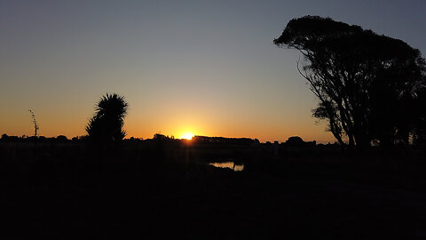 As Another Day ends, Anew awaits | It's been Awhile my slimy friends | River Eel Hunting