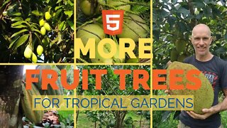 5 More Fruit Trees for Your Tropical Garden #tropicalgarden