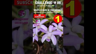 CHALLENGE # 09 |WHATS IS NAME OF THIS ORCHIDS?| YOU WANT TO LEARN? | # SHORT