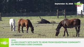 Clark County sets date to hear from equestrian community on proposed code changes