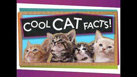 3 Facts About Cats