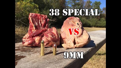 9mm vs.38 Special... Bone Test