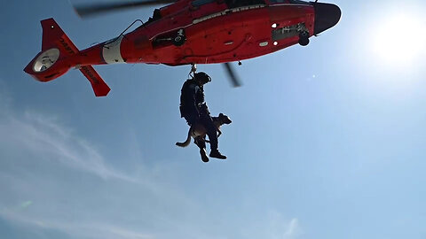 Coast Guard K9 Simba Helicopter to Boat Hoist