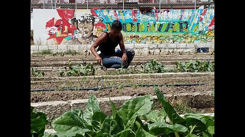 Urban Agriculture in Caracas: addressing food security (2019)