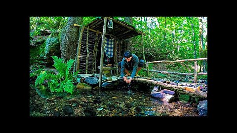 7 Days SURVIVAL Camping In RAIN Forest, THUNDER, Building Warm BUSHCRAFT SHELTER, Primitive BRIDGE