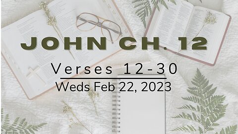 Gospel of John, Part 24