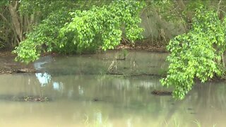 Residents asking for solutions to flooding on their property